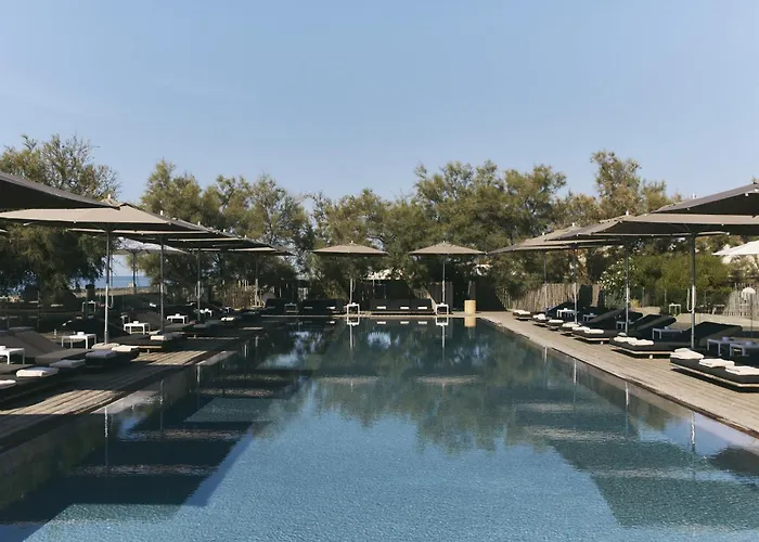 Hôtel Plage Palace&Spa